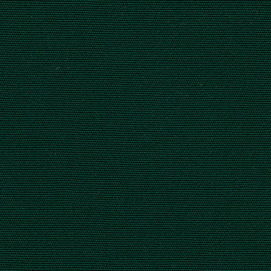 Recasens Recacril Marine Canvas Fabric - R-102 Forest Green