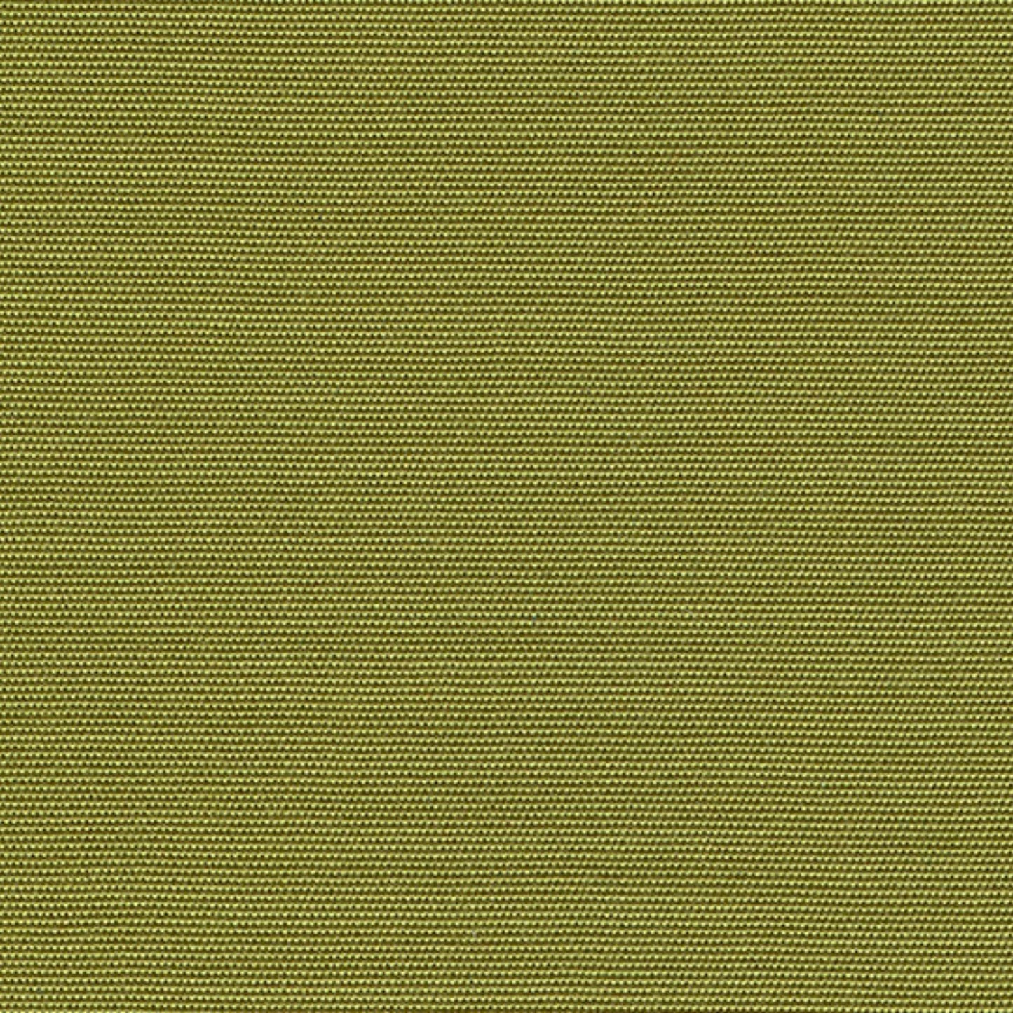 Recasens Recacril Marine Canvas Fabric - R-160 Pistachio