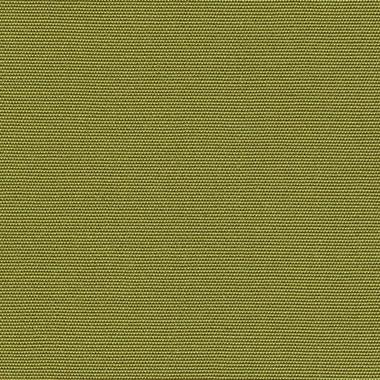 Recasens Recacril Marine Canvas Fabric - R-160 Pistachio