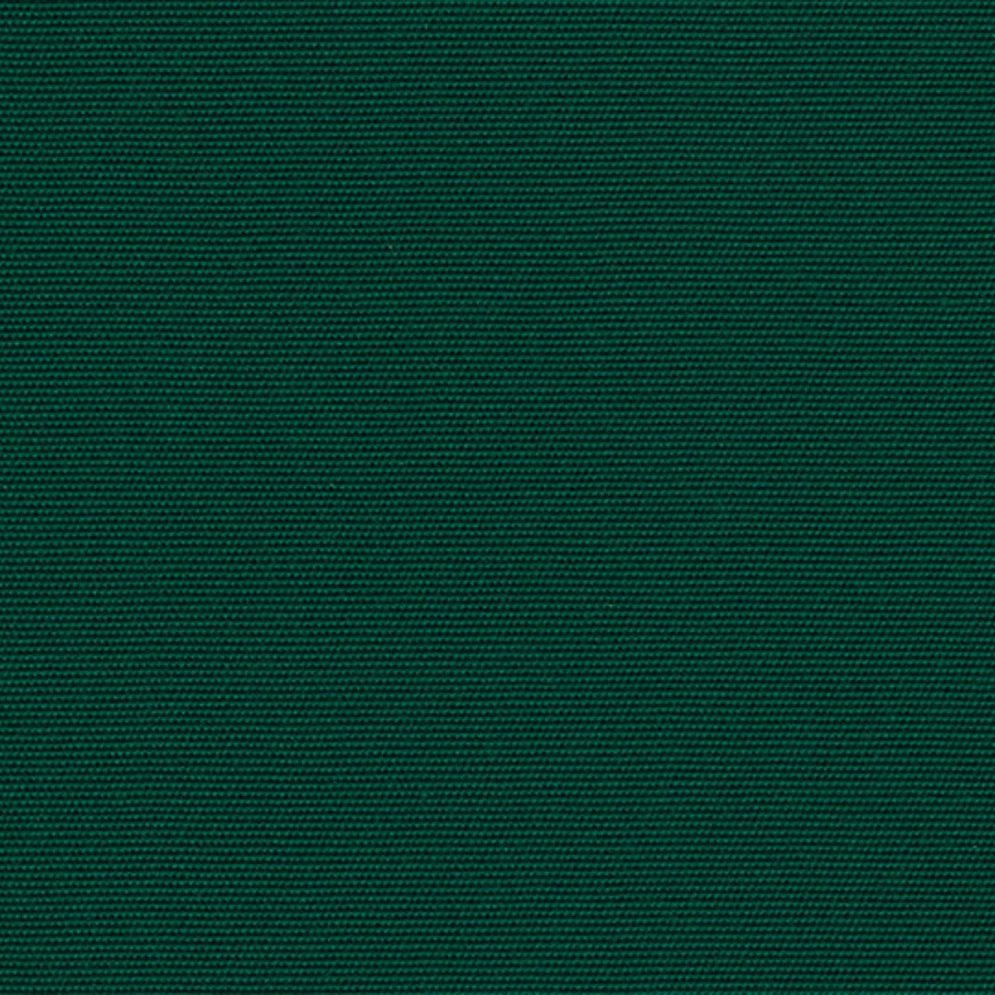 Recasens Recacril Marine Canvas Fabric - R-163 Green