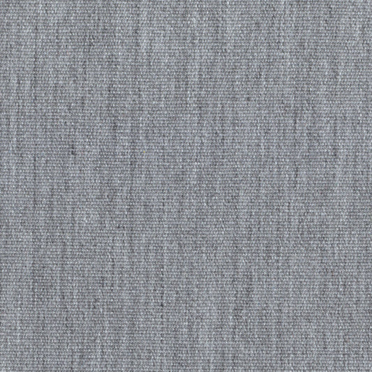 Recasens Recacril Marine Canvas Fabric - R-196 Titanium
