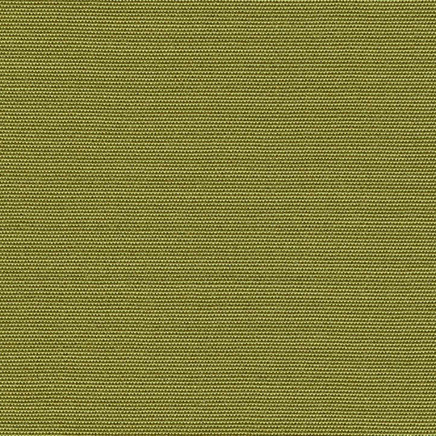 Recasens Sens Solid Outdoor Upholstery Fabric - D-160 Pistachio