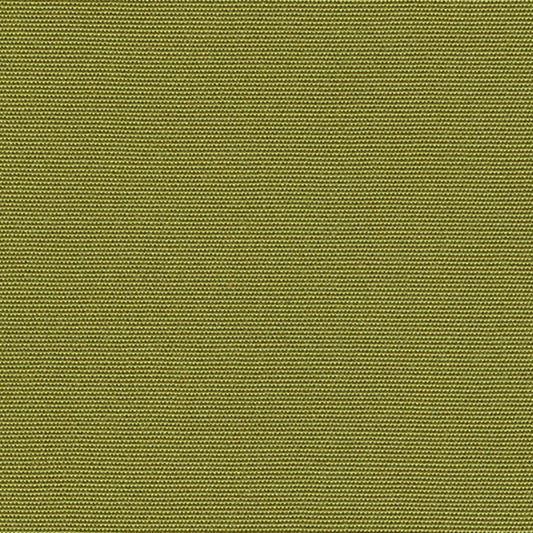 Recasens Sens Solid Outdoor Upholstery Fabric - D-160 Pistachio