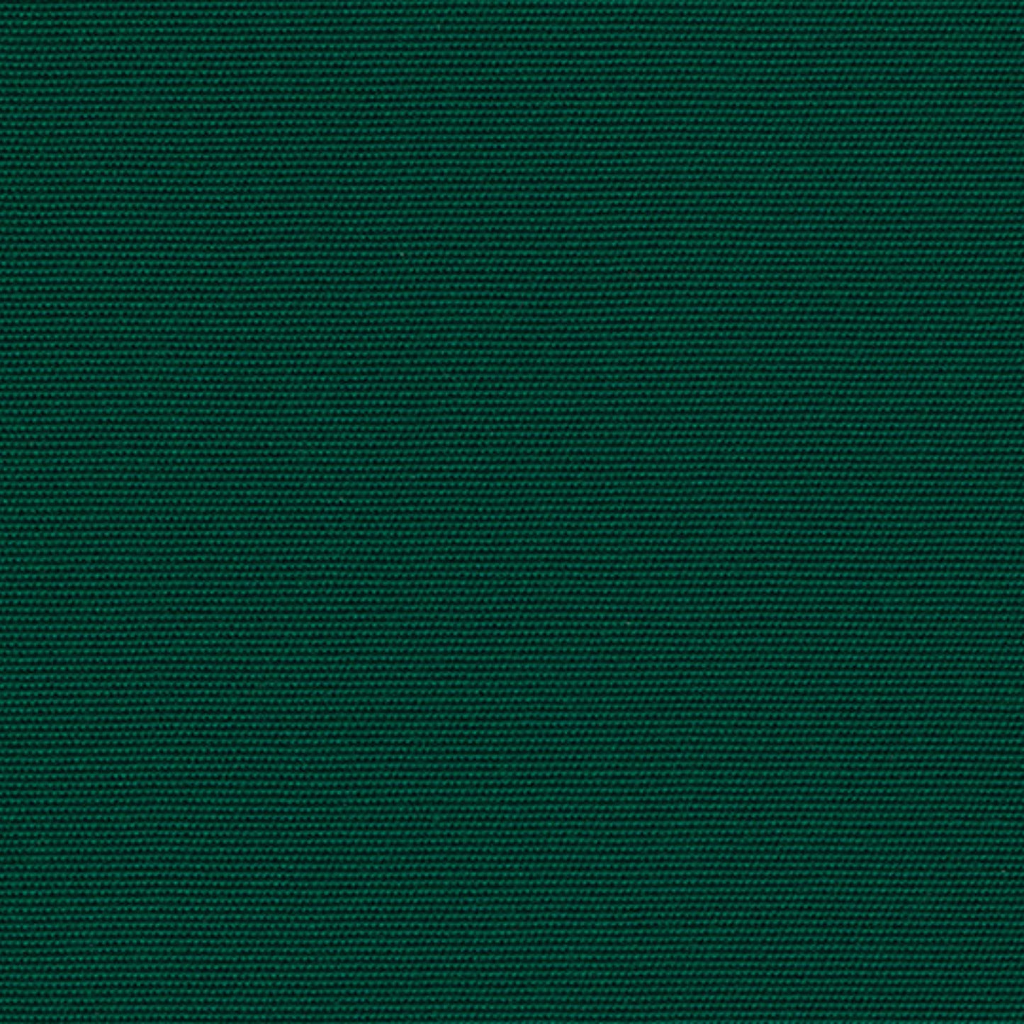Recasens Sens Solid Outdoor Upholstery Fabric - D-163 Green