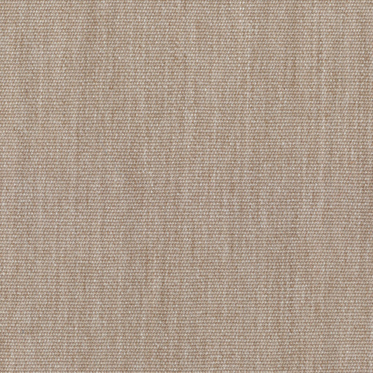 Recasens Sens Solid Outdoor Upholstery Fabric - D-220 Argent