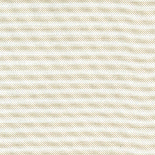 Recasens Sens Solid Outdoor Upholstery Fabric - D-327 Natural