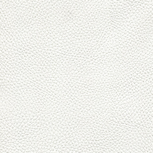 Spradling Beluga Marine Vinyl Fabric - BEL-3302 Pure White