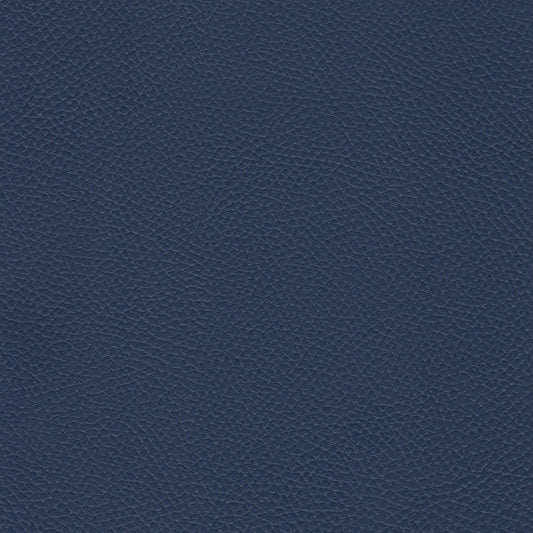 Spradling Beluga Marine Vinyl Fabric - BEL-3313 Celestial