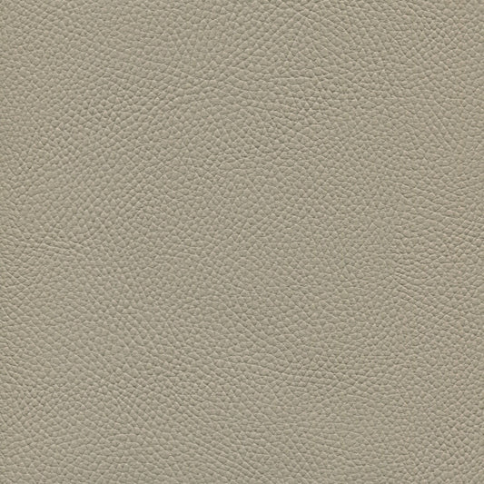 Spradling Beluga Marine Vinyl Fabric - BEL-3318 Zephyr