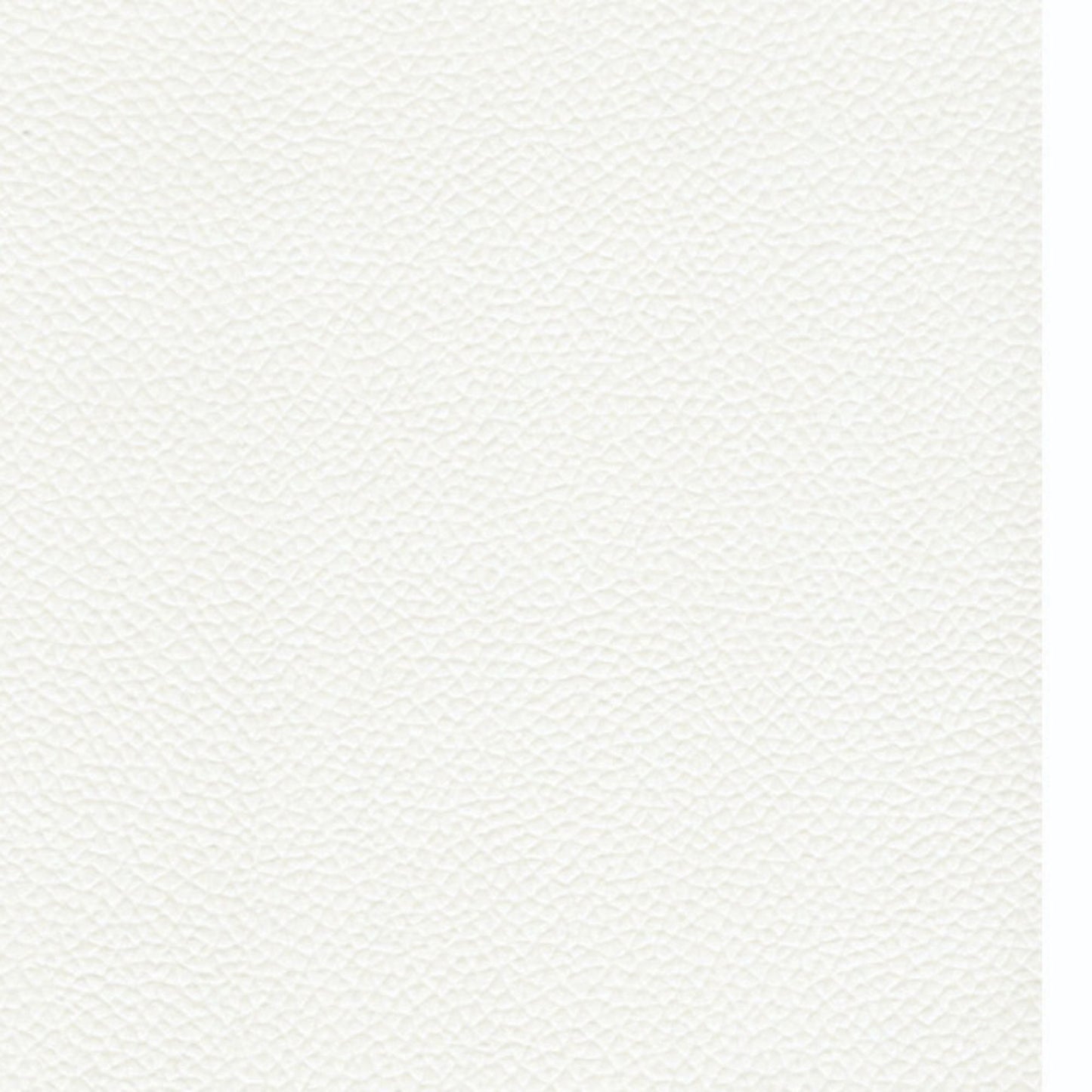 Spradling Leon Marine Vinyl Fabric - 078686 Brite White