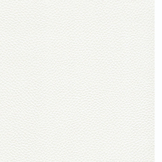 Spradling Leon Marine Vinyl Fabric - 078686 Brite White