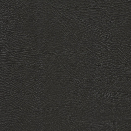 Spradling Pegasus Marine Vinyl Fabric - PEG-1618 Ebony
