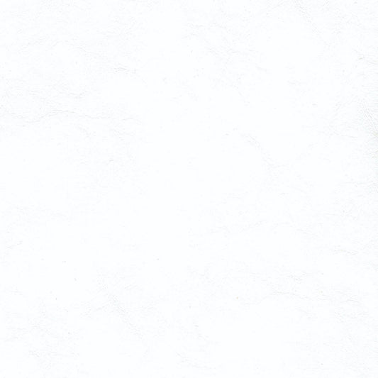 Spradling Zander Marine Vinyl Fabric - ZAN-3102 Pure White