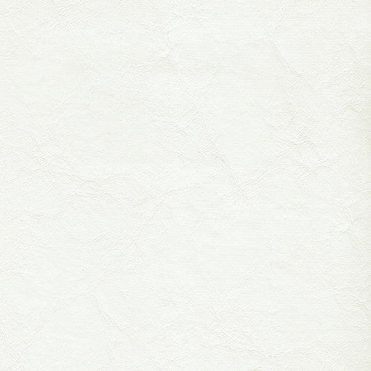 Spradling Zander Marine Vinyl Fabric - ZAN-3103 Brilliant White