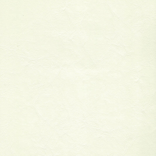 Spradling Zander Marine Vinyl Fabric - ZAN-3104 Off White