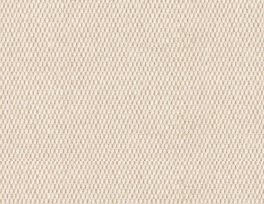 Tempotest Solid Uncoated Outdoor Marine Canvas Fabric - T15/52-60 Latte