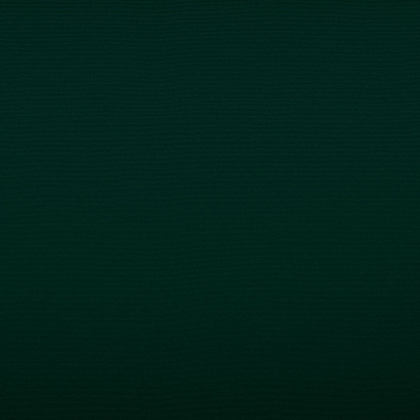 Tempotest Classic Outdoor Upholstery Fabric - TH-5-60 Forest Green