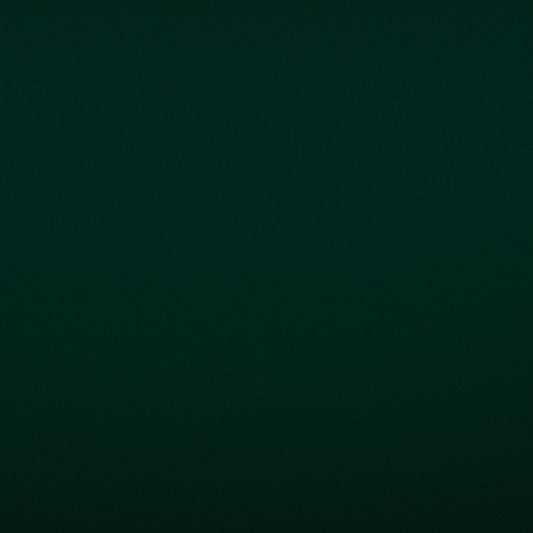 Tempotest Classic Outdoor Upholstery Fabric - TH-5-60 Forest Green
