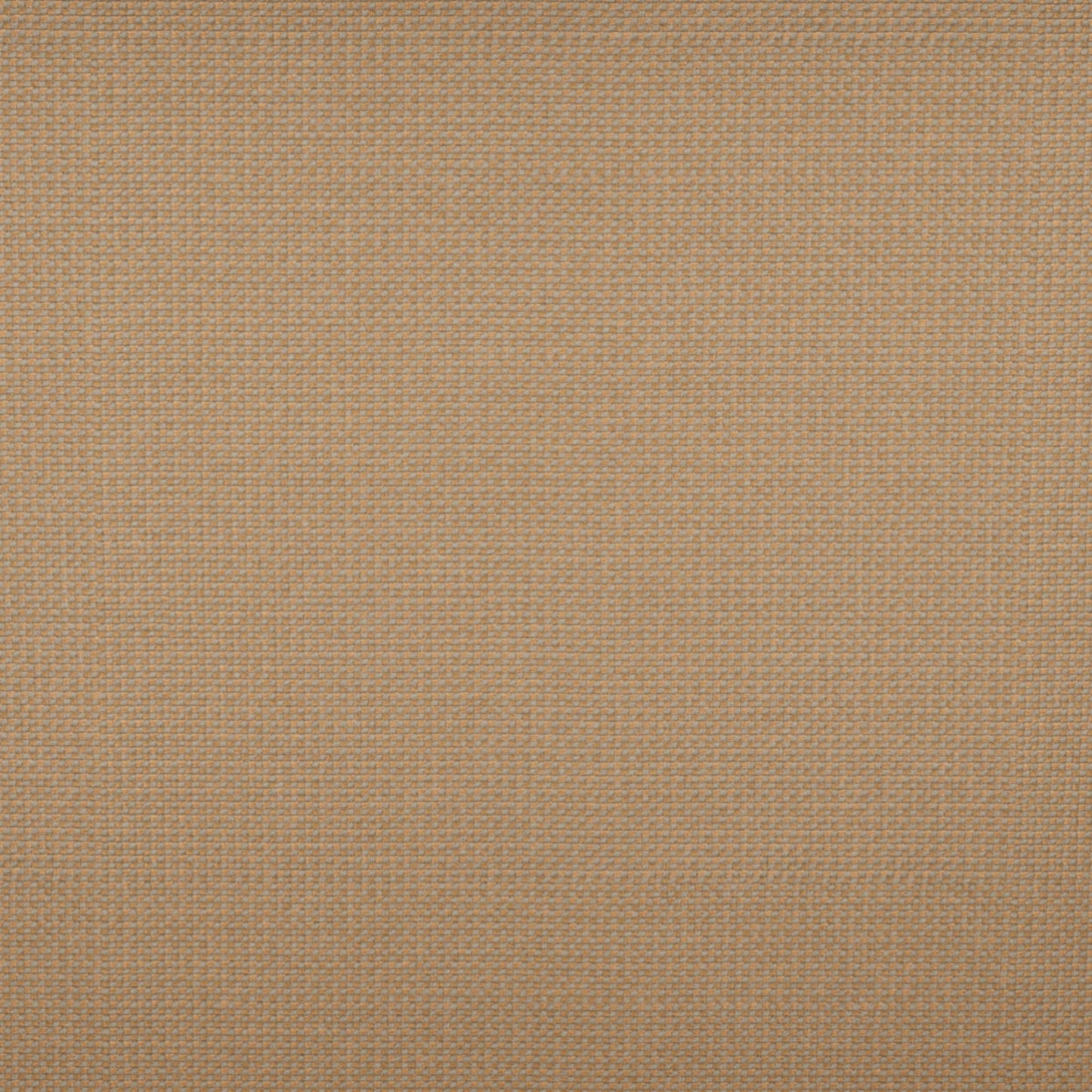 Tempotest Michelangelo Outdoor Upholstery Fabric - TH-50964/22-57 Toast