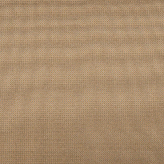 Tempotest Michelangelo Outdoor Upholstery Fabric - TH-50964/22-57 Toast