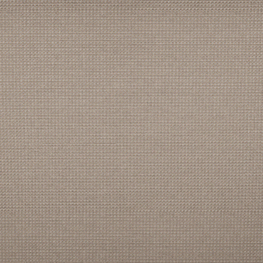 Tempotest Michelangelo Outdoor Upholstery Fabric - TH-50964/23-57 Silver Beige