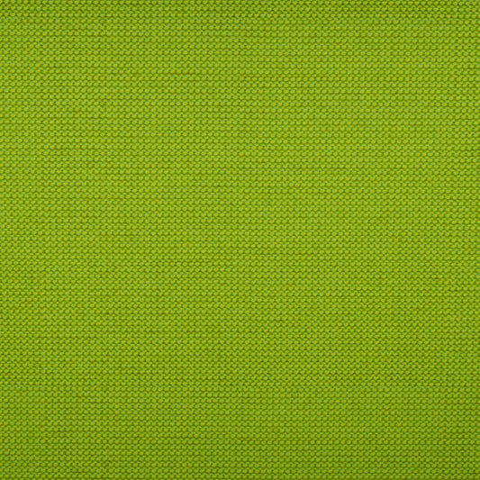 Tempotest Michelangelo Outdoor Upholstery Fabric - TH-50964/4-57 Lime