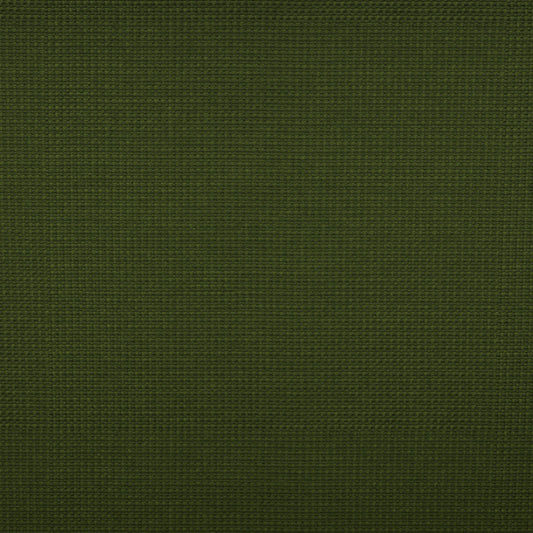 Tempotest Michelangelo Outdoor Upholstery Fabric - TH-50964/5-57 Olive