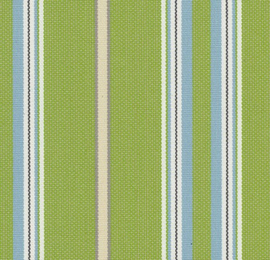 Tempotest Presidio Outdoor Upholstery Fabric - TH-5414/16-54 Kiwi