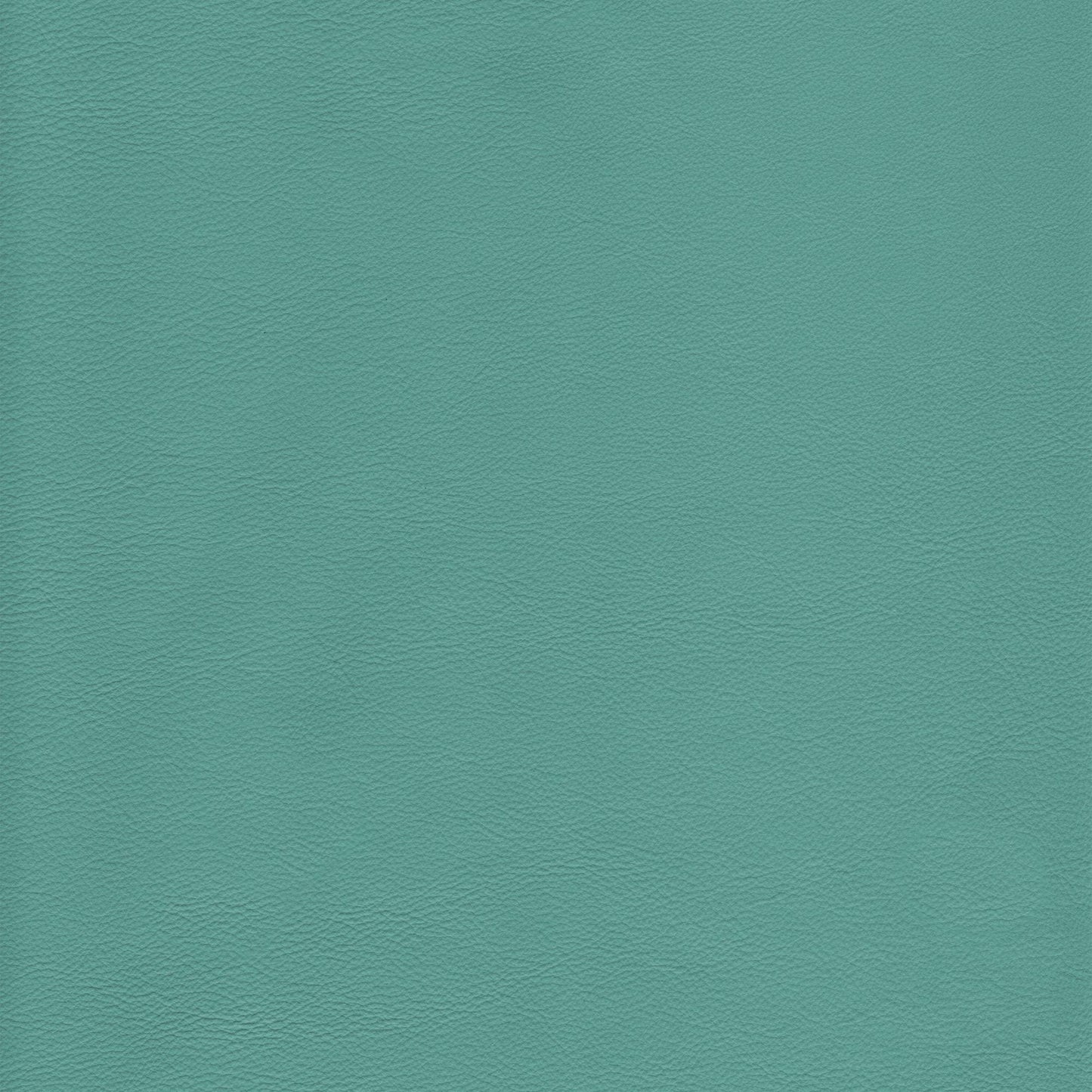 Memo Sample - Canyon Upholstery Leather - Acqua