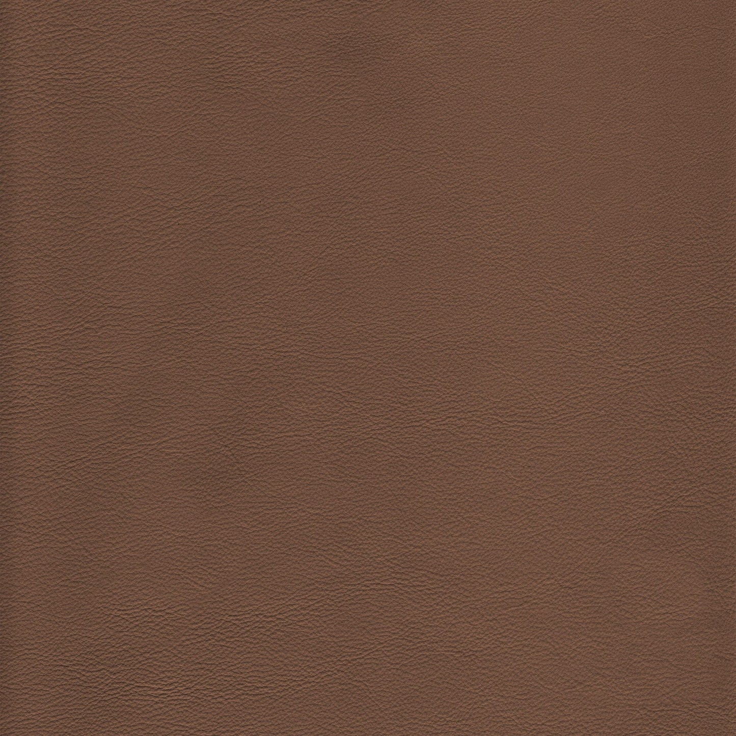 Memo Sample - Canyon Upholstery Leather - Alba