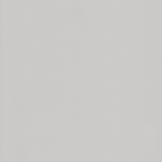 Memo Sample - Canyon Upholstery Leather - Arctic