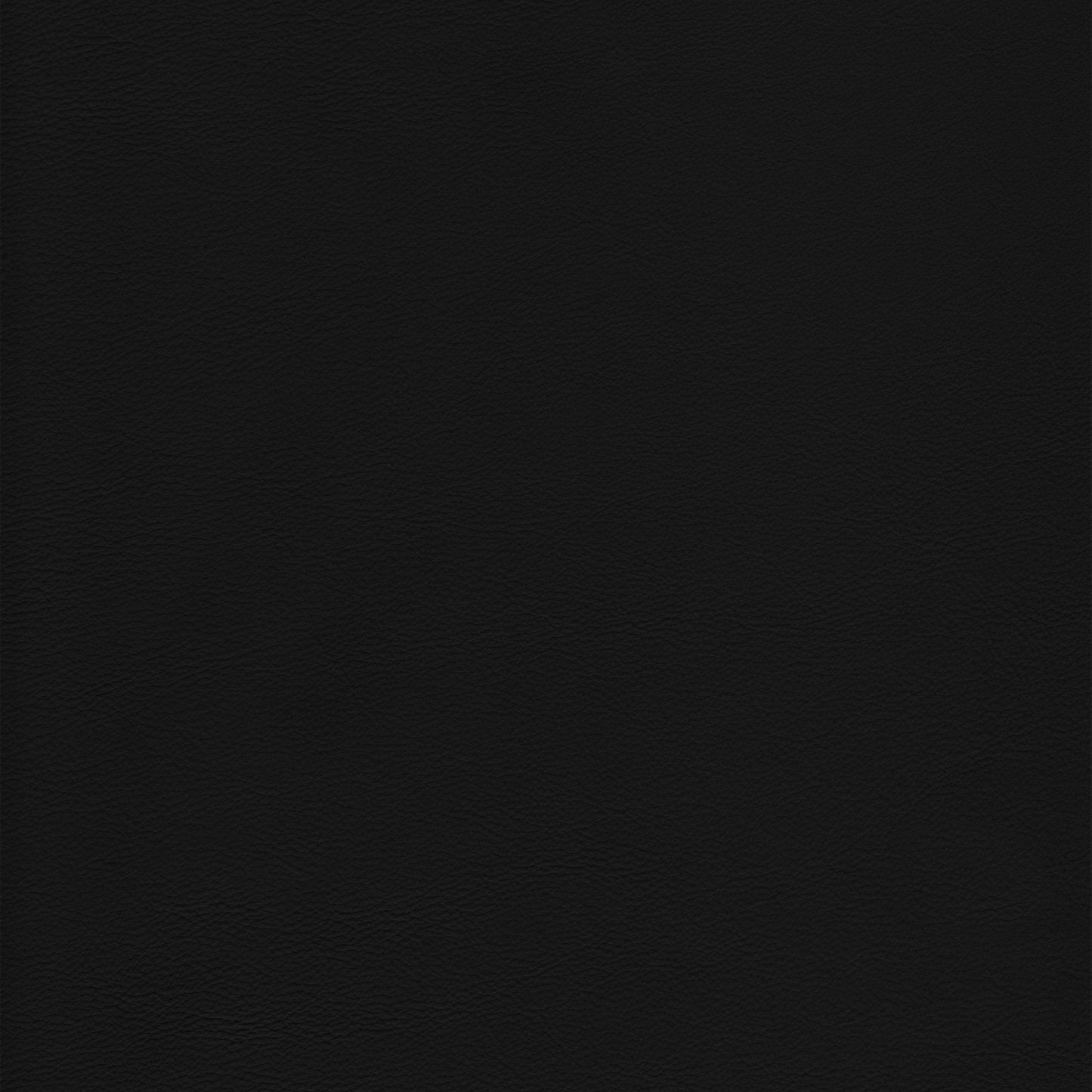 Memo Sample - Canyon Upholstery Leather - Black