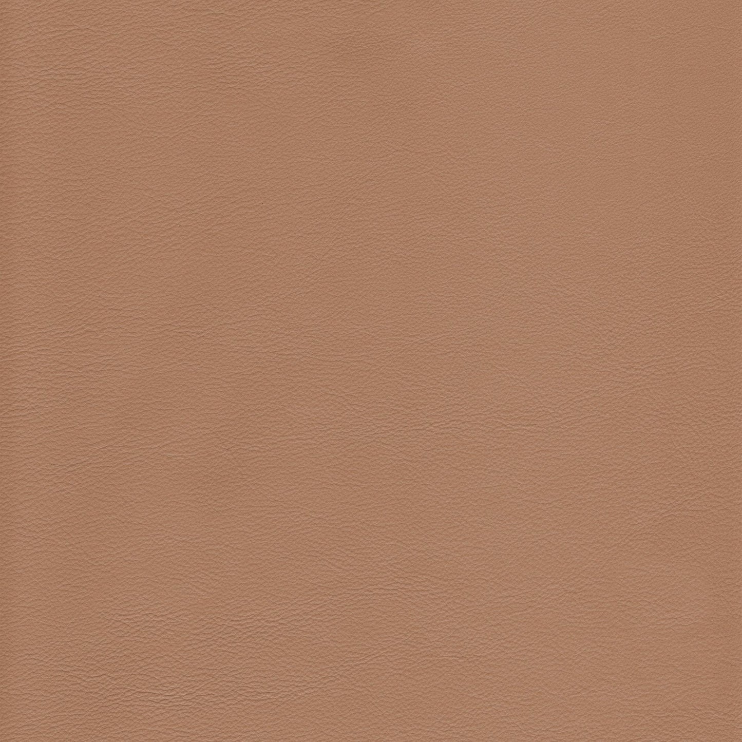 Memo Sample - Canyon Upholstery Leather - Burlywood