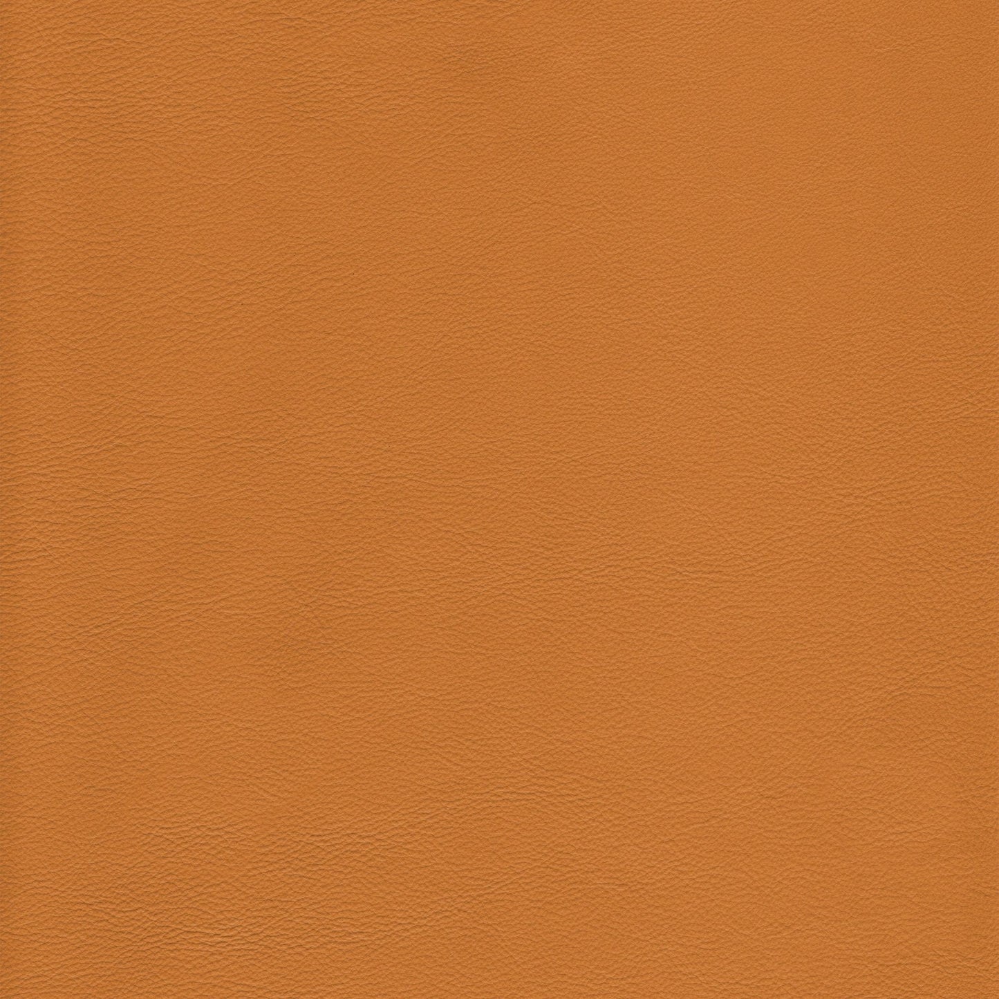 Memo Sample - Canyon Upholstery Leather - Butterscotch