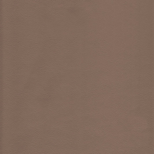Canyon Upholstery Leather - Cafe Latte