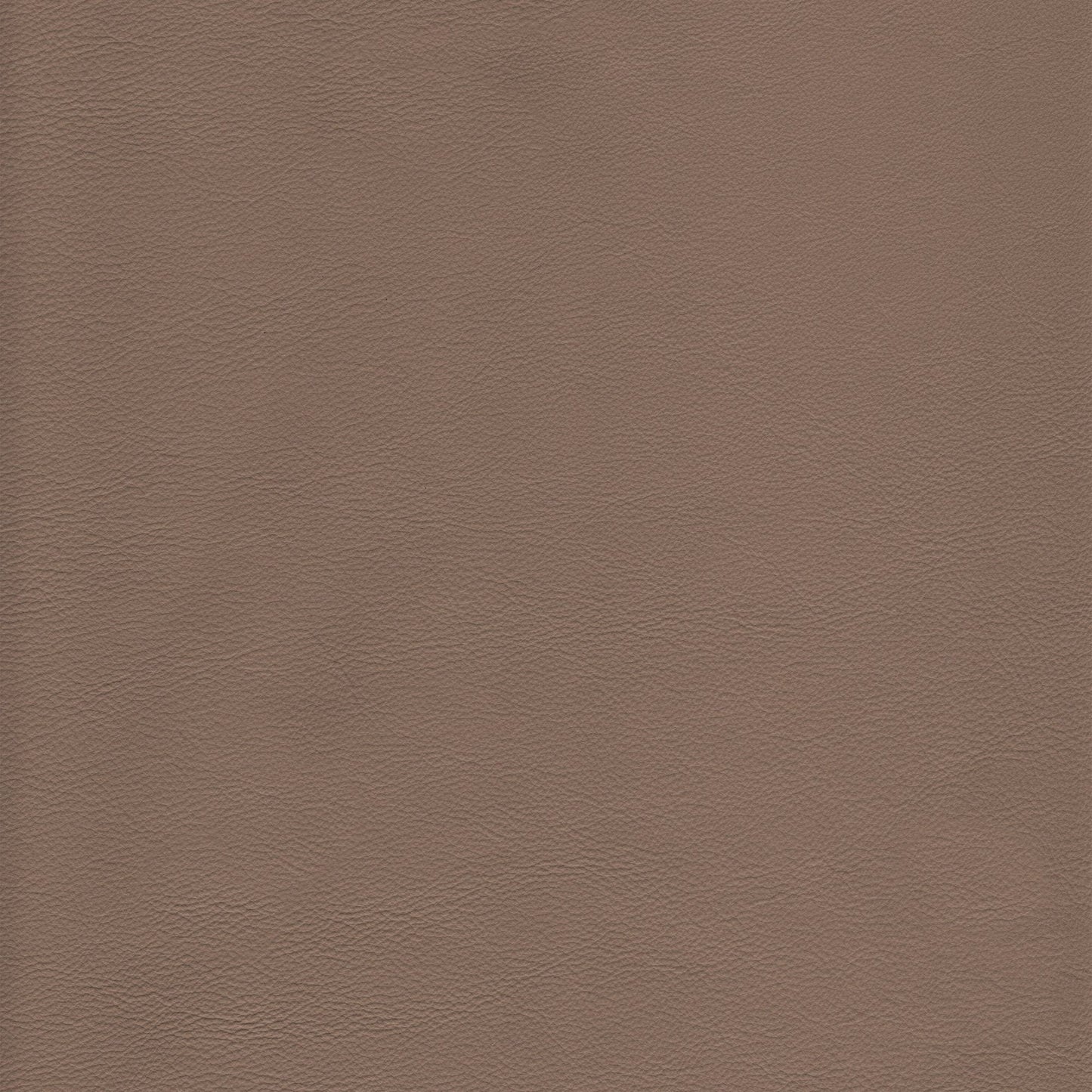 Memo Sample - Canyon Upholstery Leather - Cafe Latte