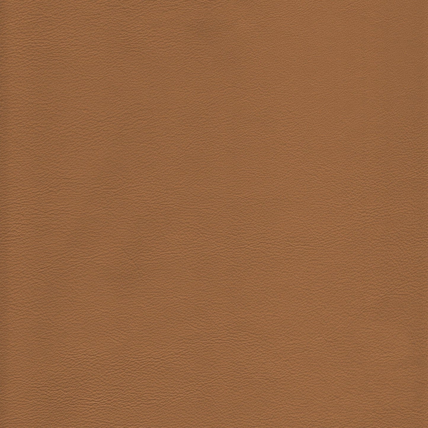 Memo Sample - Canyon Upholstery Leather - Camel