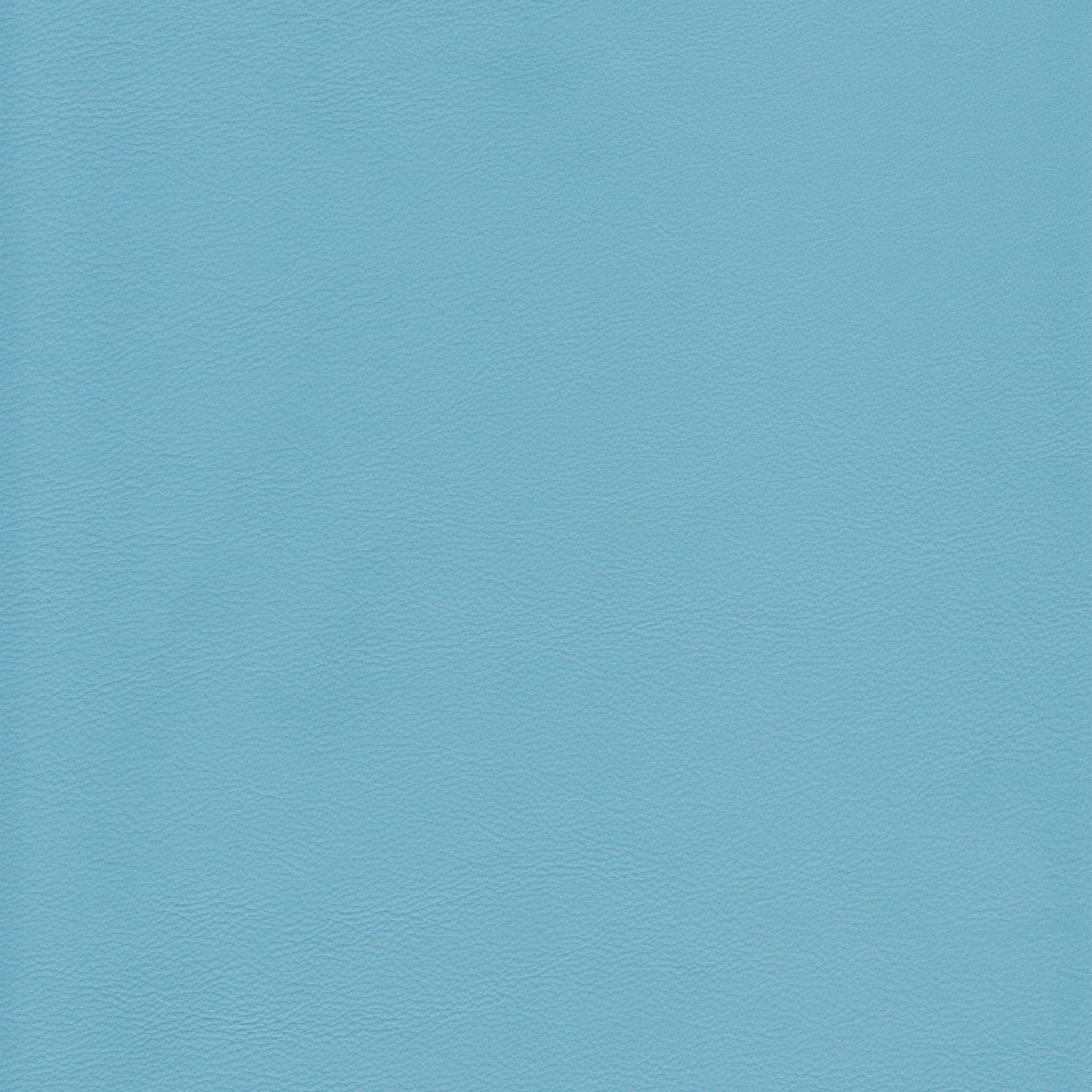 Memo Sample - Canyon Upholstery Leather - Caribe