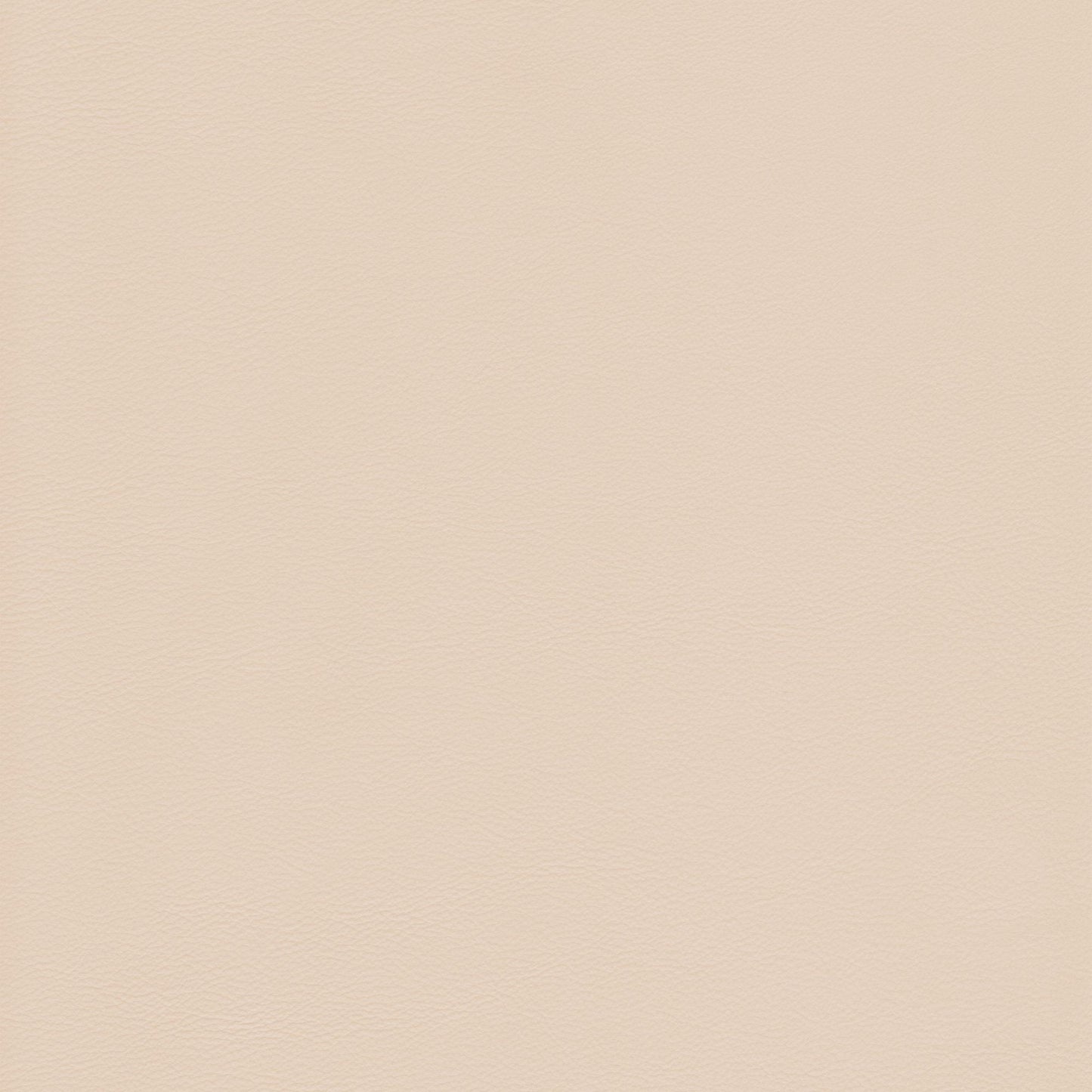 Canyon Upholstery Leather - Chamois