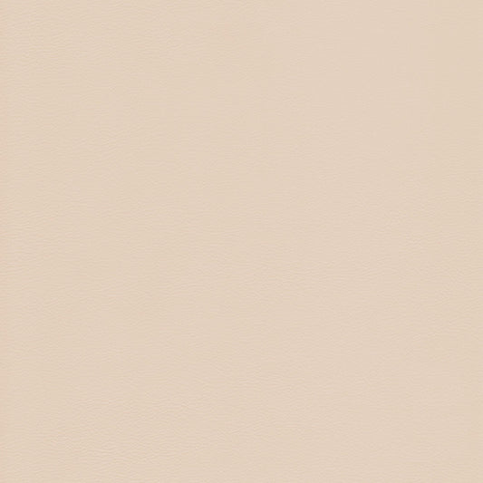 Memo Sample - Canyon Upholstery Leather - Chamois