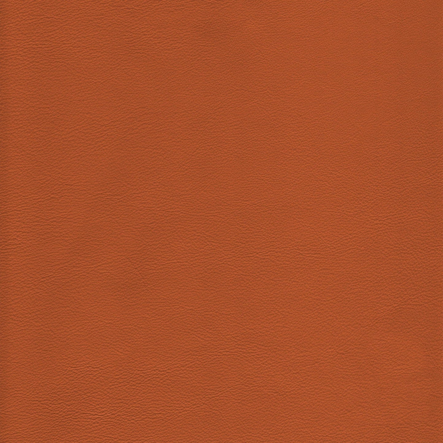 Memo Sample - Canyon Upholstery Leather - Clay