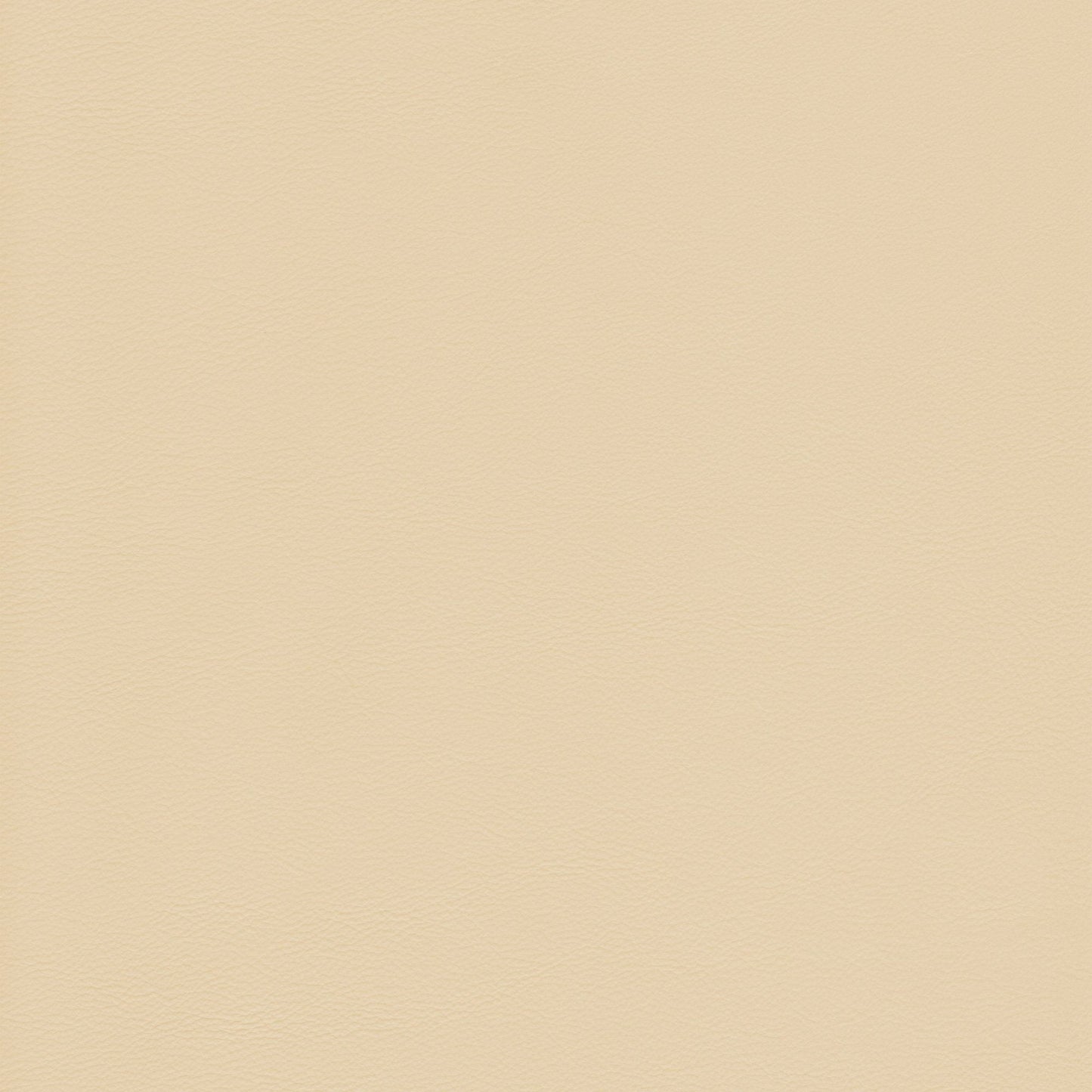 Memo Sample - Canyon Upholstery Leather - Dover