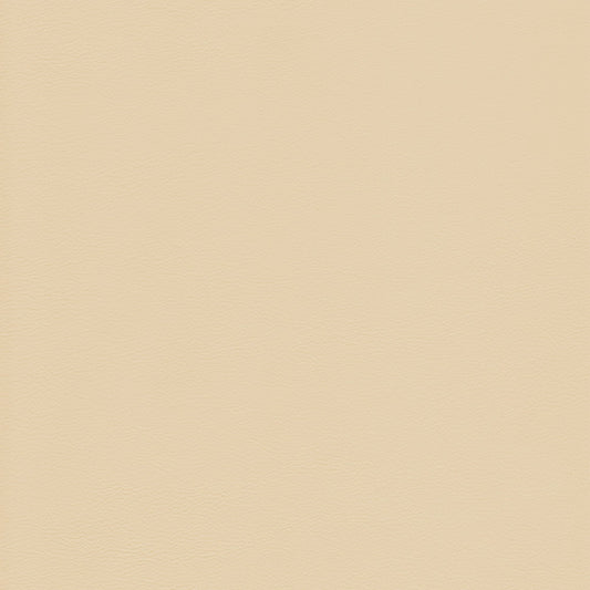 Memo Sample - Canyon Upholstery Leather - Dover
