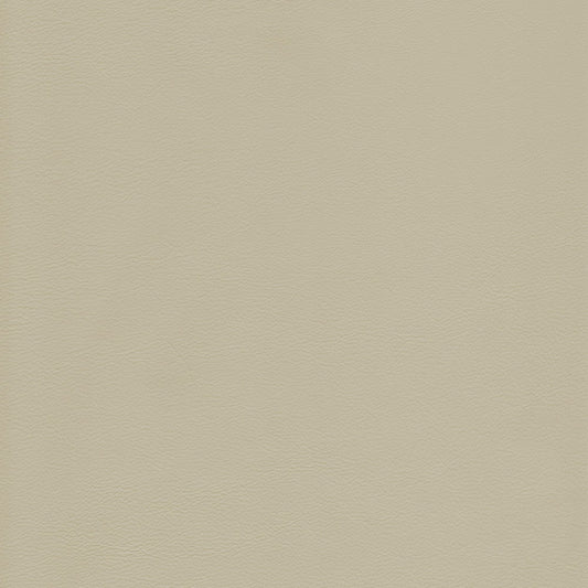 Canyon Upholstery Leather - Elfin