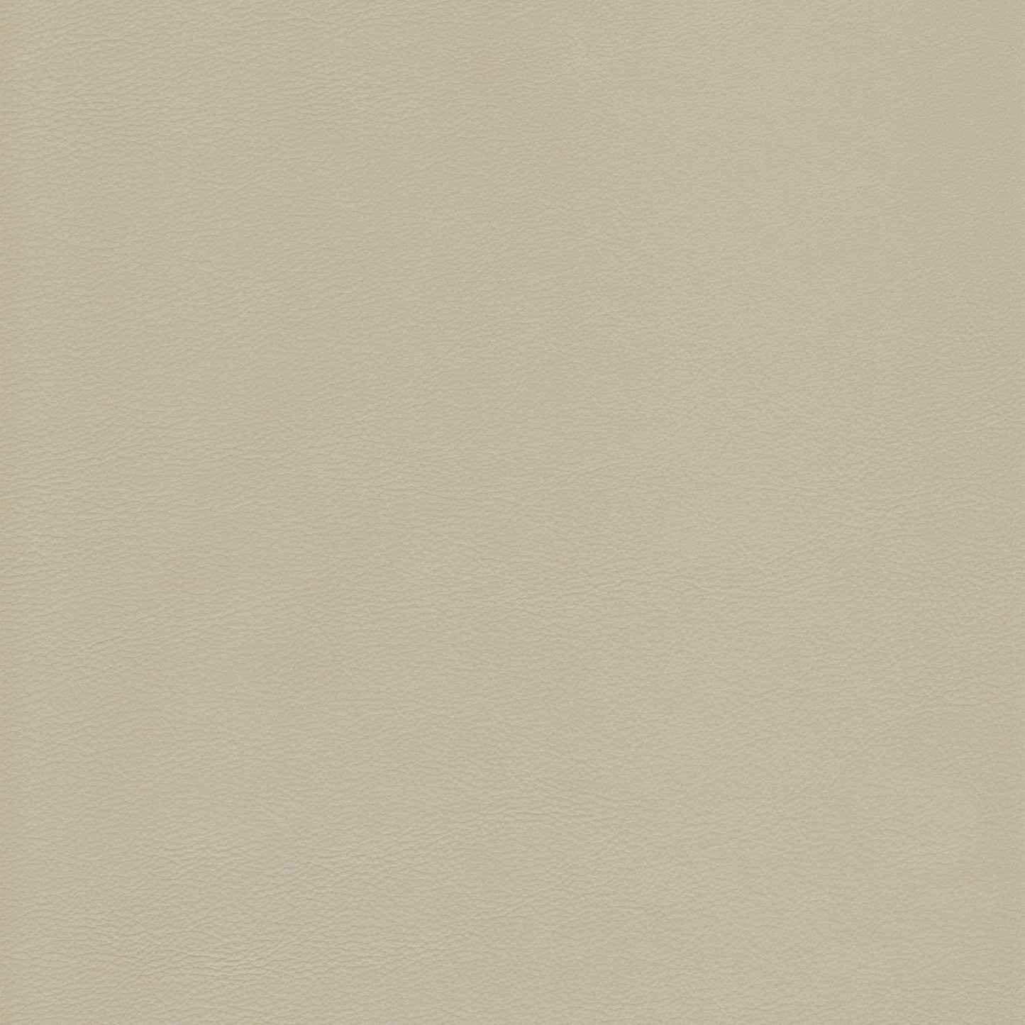 Memo Sample - Canyon Upholstery Leather - Elfin
