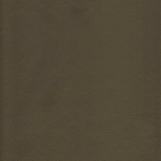 Canyon Upholstery Leather - Eucalyptus