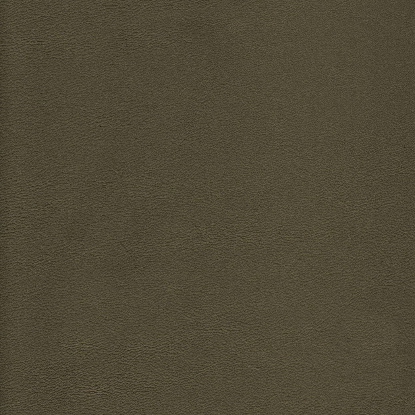 Memo Sample - Canyon Upholstery Leather - Eucalyptus