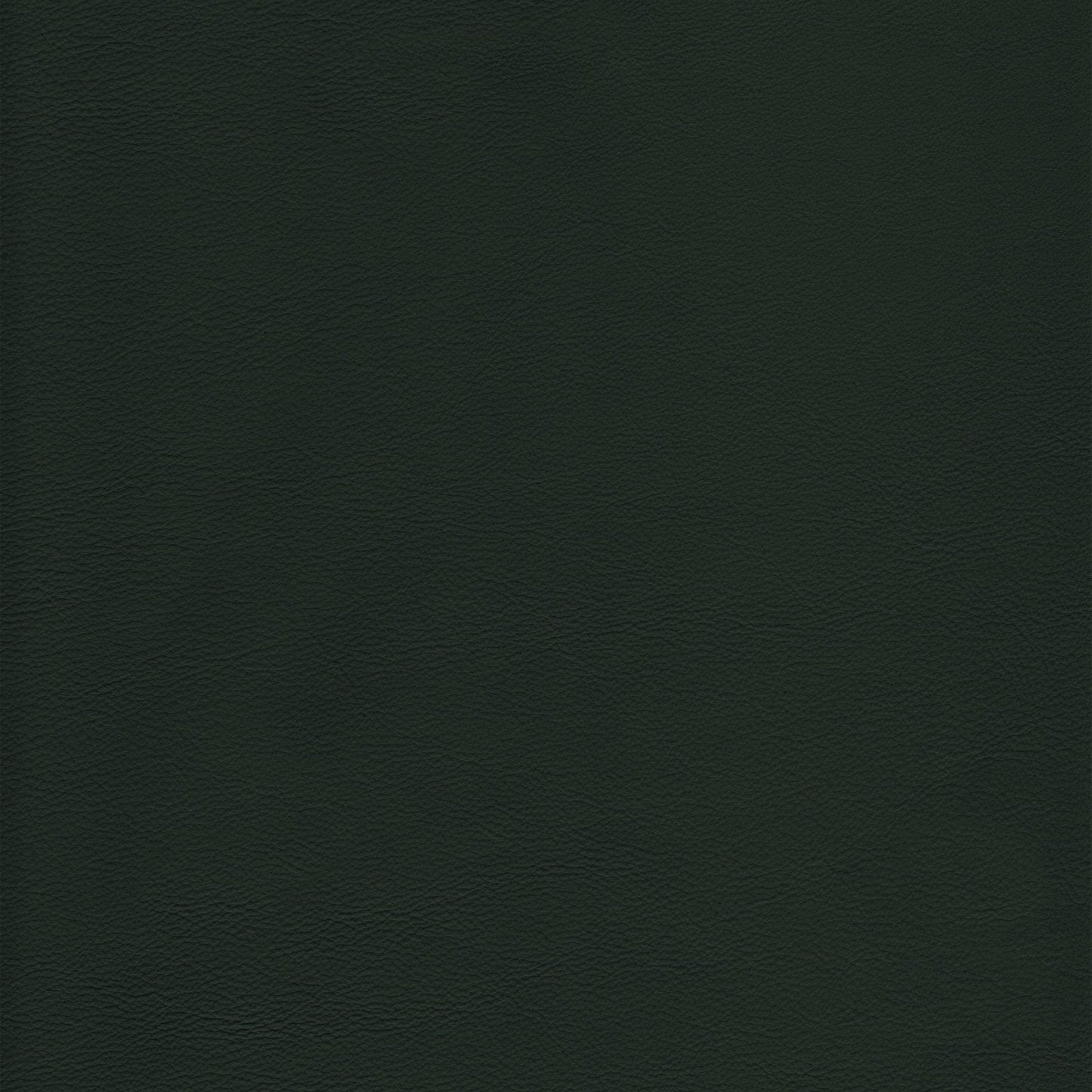 Memo Sample - Canyon Upholstery Leather - Evergreen