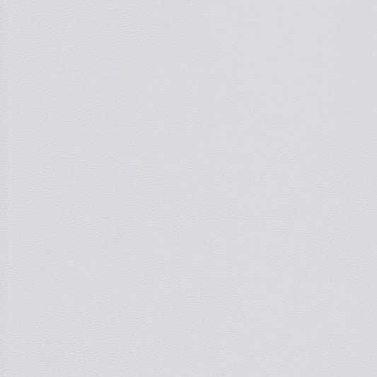 Memo Sample - Canyon Upholstery Leather - Ghiaccio