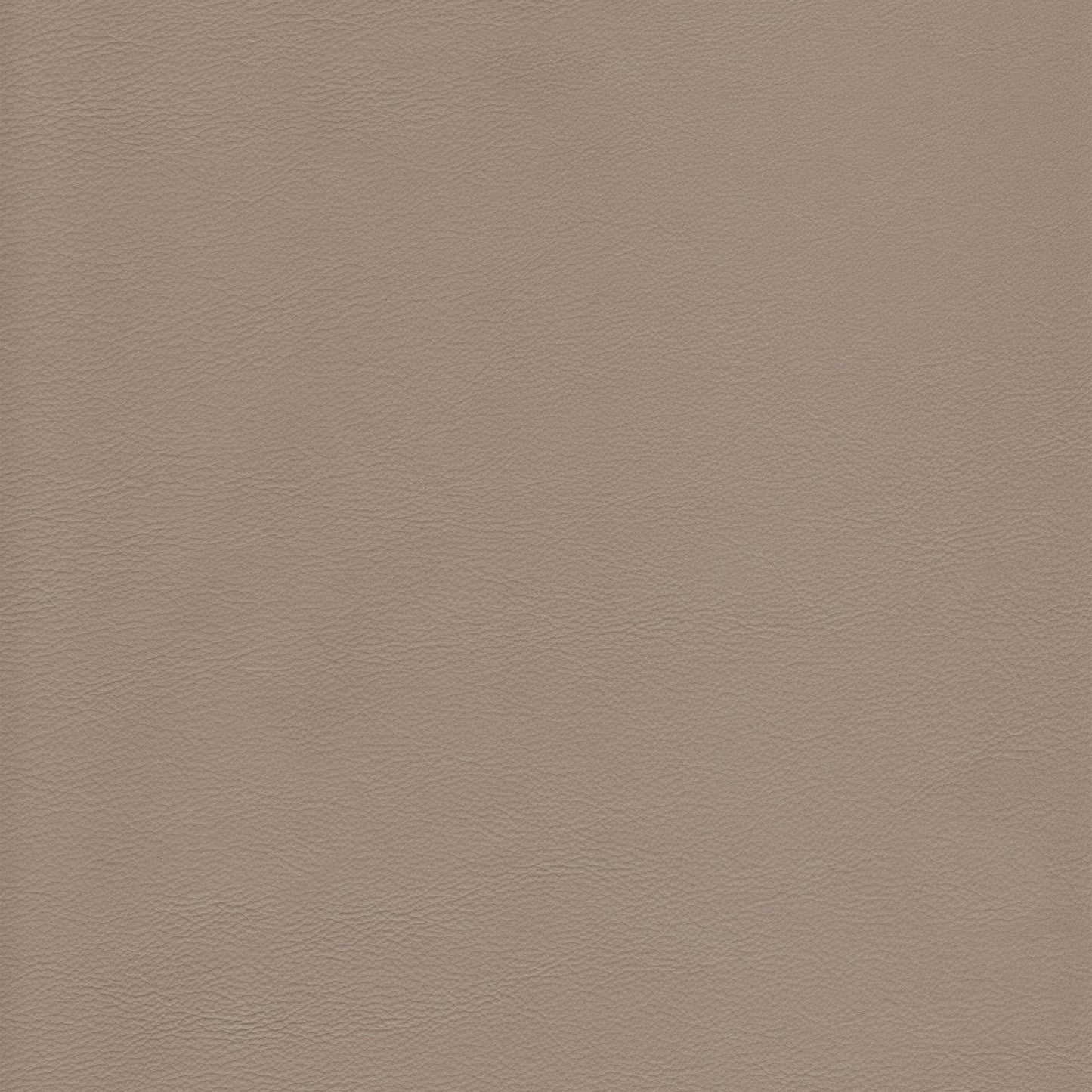 Memo Sample - Canyon Upholstery Leather - Greystone